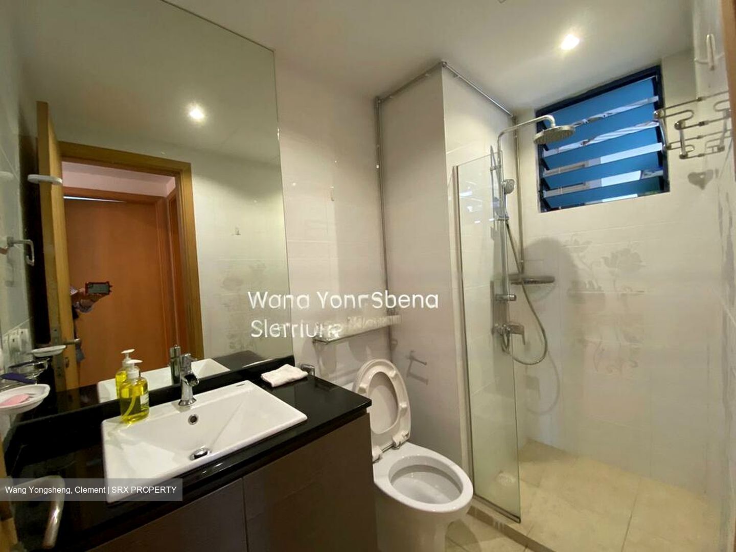 Water Place (D15), Condominium #478610241